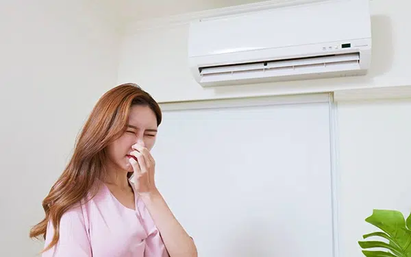 may lanh co mui hoi 2.jpg